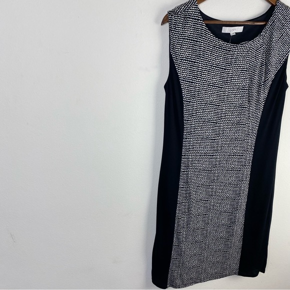 Ann Taylor loft sleeveless shift dress women’s size medium NWT black / off white - Picture 2 of 8